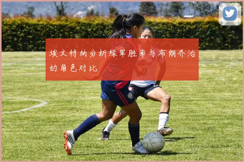 埃文特纳分析绿军胜率与布朗乔治的角色对比